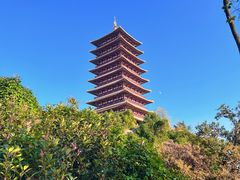 -牛首山文化旅游区