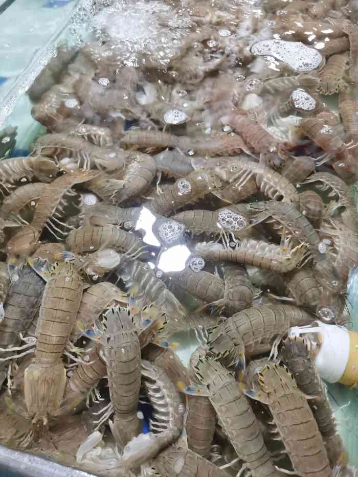 石塘路海鲜市场-"终于想起来十一出游的点评还没发,闲来无事.