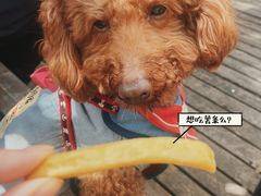 -榖屋house of flour(张江首店)