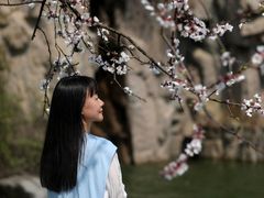 -秀丽东方