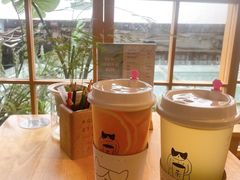 -猫的天空之城概念书店(苏州平江店)