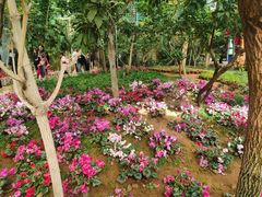 -石家庄市植物园