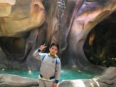 -杭州开元森泊度假乐园