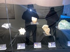 -中华赏石园