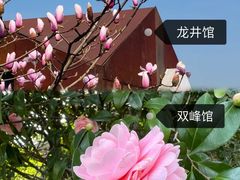 -中国茶叶博物馆(双峰馆区)