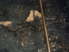 -醉美东江·三文鱼·烧鸡公