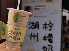 -猫的魔法密林(衣裳街店)