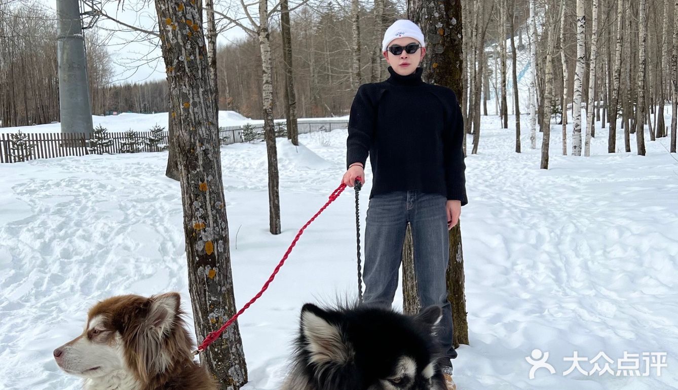 长白山旅行日记2❄️柏悦的阿拉斯加