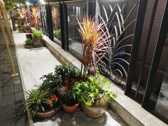 -冰冰龙虾·江湖菜·花园江景餐厅