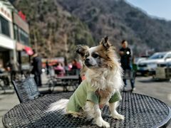 -秦岭服务区餐厅(京昆高速店)