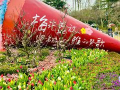 -红梅公园