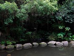 -燕晗山郊野公园