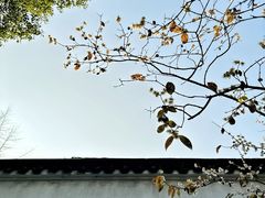 -拙政园