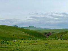 -山丹皇家马场