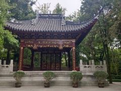 -汇龙潭