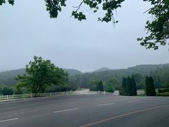 -棒棰岛宾馆景区