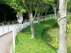 android_upload_pic-大埔公路-马料水段香港中文大学(公交站)