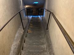 -圣母百花大教堂穹顶