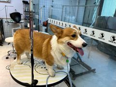 -萌宠主义宠物生活馆(金山路店)