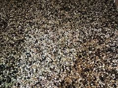 -极乐汇汗蒸会馆(杭州店)