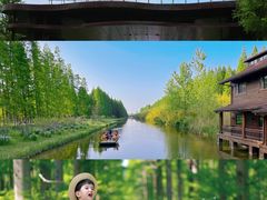 -黄海国家森林公园