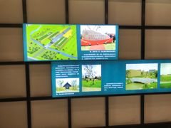 -鸿山遗址博物馆