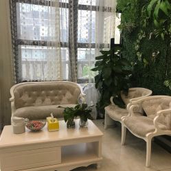 -苗医生草本科技祛痘