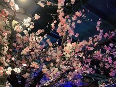 -绿茶餐厅(松江万达店)