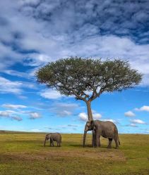 -美肤盾祛痘·问题肌头疗管理中心