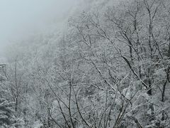 -秦岭终南山世界地质公园翠华山景区