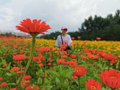 -长春世界雕塑园冰雪艺术天地