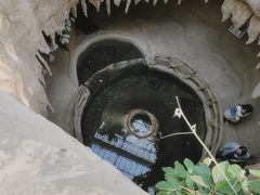 -南山植物园