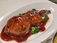 -丁老爷子苏香圆