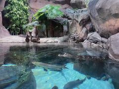 -上海海洋水族馆-停车场