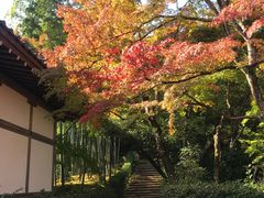 -常寂光寺