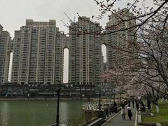 -西北湖绿化广场