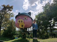 -田园东方蜜桃村的田野营地