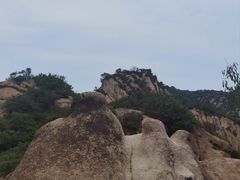 -大岭沟猕猴桃谷风景区