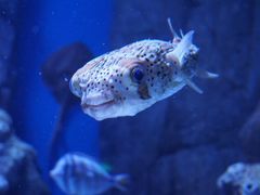 -成都浩海立方海洋公园