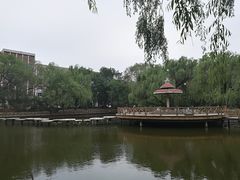 景点-沈阳南湖公园