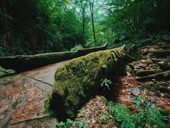 -五女峰国家森林公园