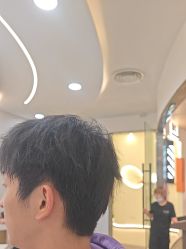 -艺之剪