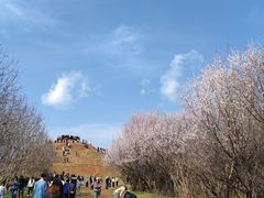 -明秦王墓遗址