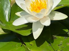 -前关湿地公园