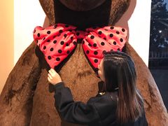 -济州岛泰迪熊博物馆