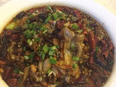 -鑫巴蜀小镇 · 水煮鱼专研店(玉桥店)
