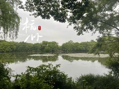 -西湖游船