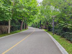 -燕塞湖鸟语林景区