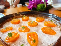 -广州富力君悦大酒店空中花园