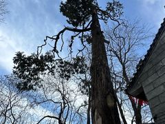 -终南山南五台景区